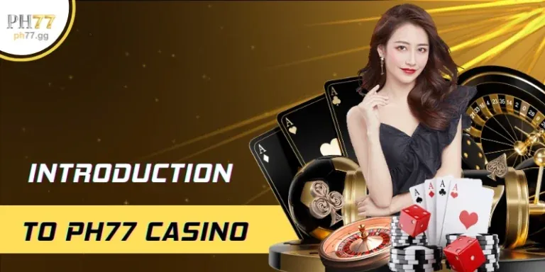 Bibet: Hướng Dẫn Nhập Môn Chi Tiết